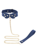 Collare e guinzaglio in silicone blu
